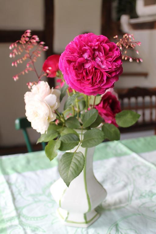 Maison Mille Fleurs Sankt Julian Zewnętrze zdjęcie