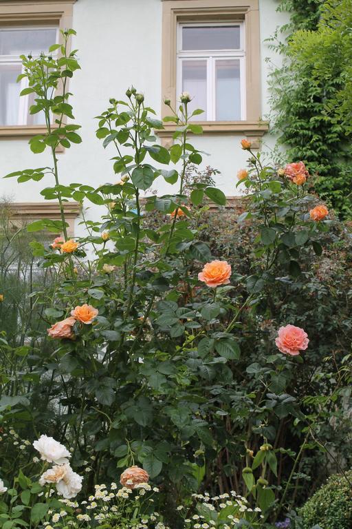 Maison Mille Fleurs Sankt Julian Zewnętrze zdjęcie
